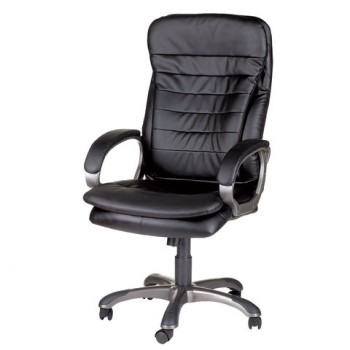 Кресло офисное BRABIX Omega EX-589 (черное) в Мирном - mirnyj.mebel54.com | фото