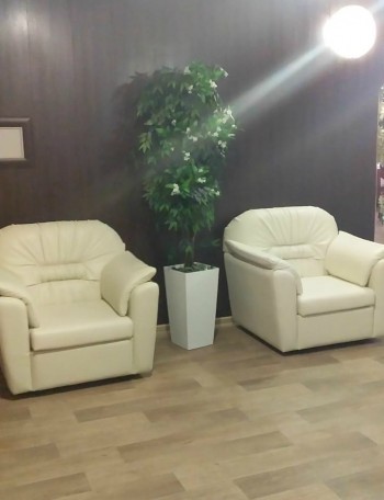 Кресло Премьер в Мирном - mirnyj.mebel54.com | фото