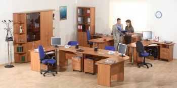 Мебель для персонала Альфа 61 Ольха в Мирном - mirnyj.mebel54.com | фото