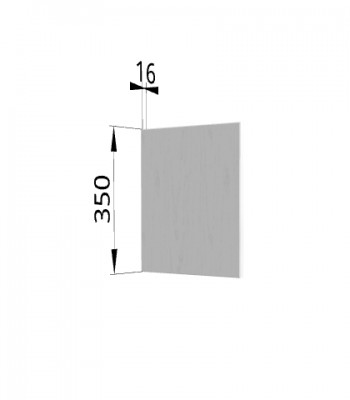 Панель торцевая (для шкафа горизонтального высотой 350 мм) ПГ Мелисса (Белый скин) в Мирном - mirnyj.mebel54.com | фото