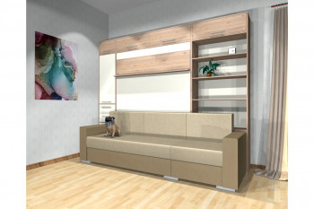 Шкаф-кровать с диваном Каролина в Мирном - mirnyj.mebel54.com | фото